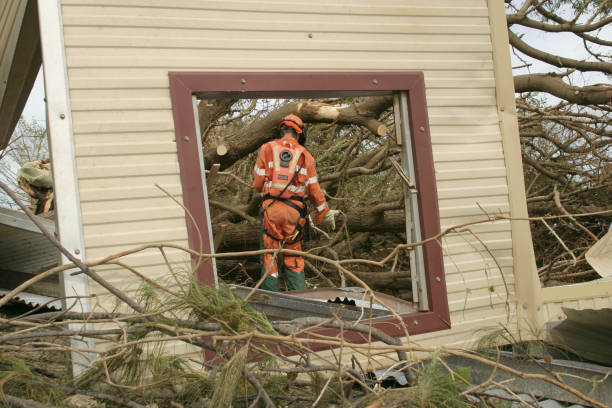 Best Tree Health Inspection  in Lancaster, OH